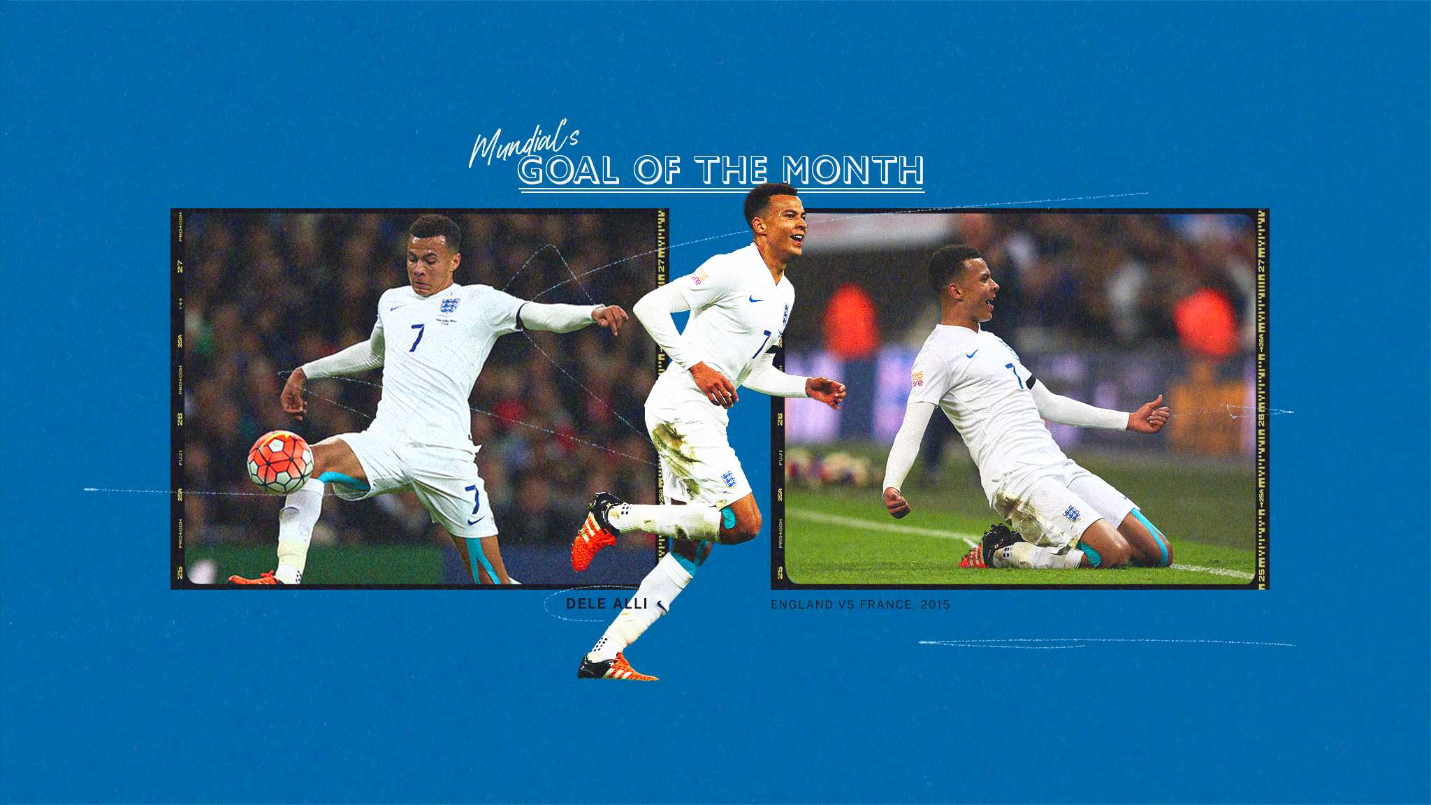 貢獻了全面 貢獻了全面